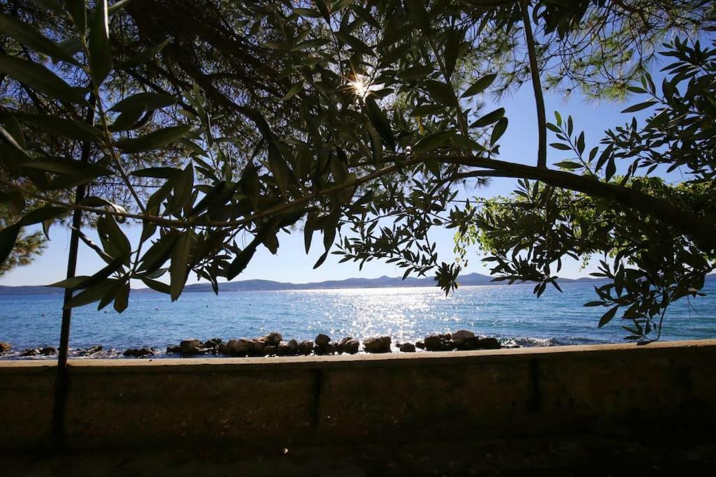Seafront Beach Apartment - Directly At The Beach Ζαντάρ Εξωτερικό φωτογραφία