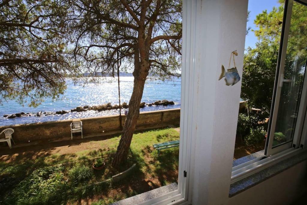 Seafront Beach Apartment - Directly At The Beach Ζαντάρ Εξωτερικό φωτογραφία